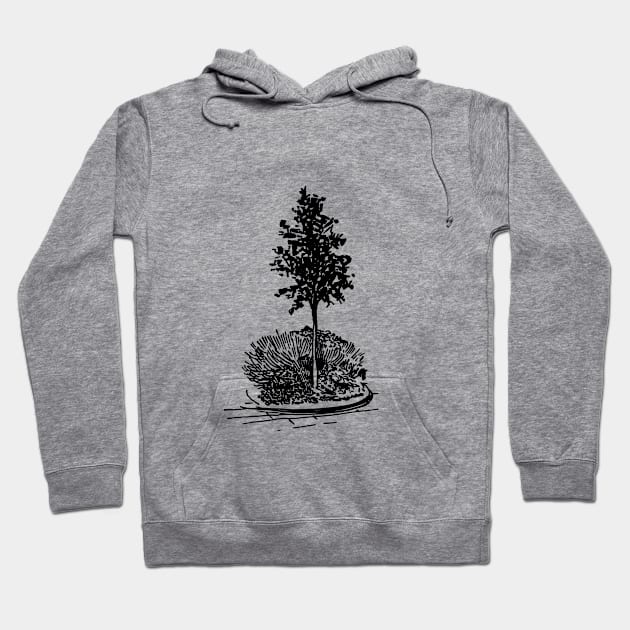 Tree and flowerbed. City landscape on your things. Hoodie by ElizabethArt